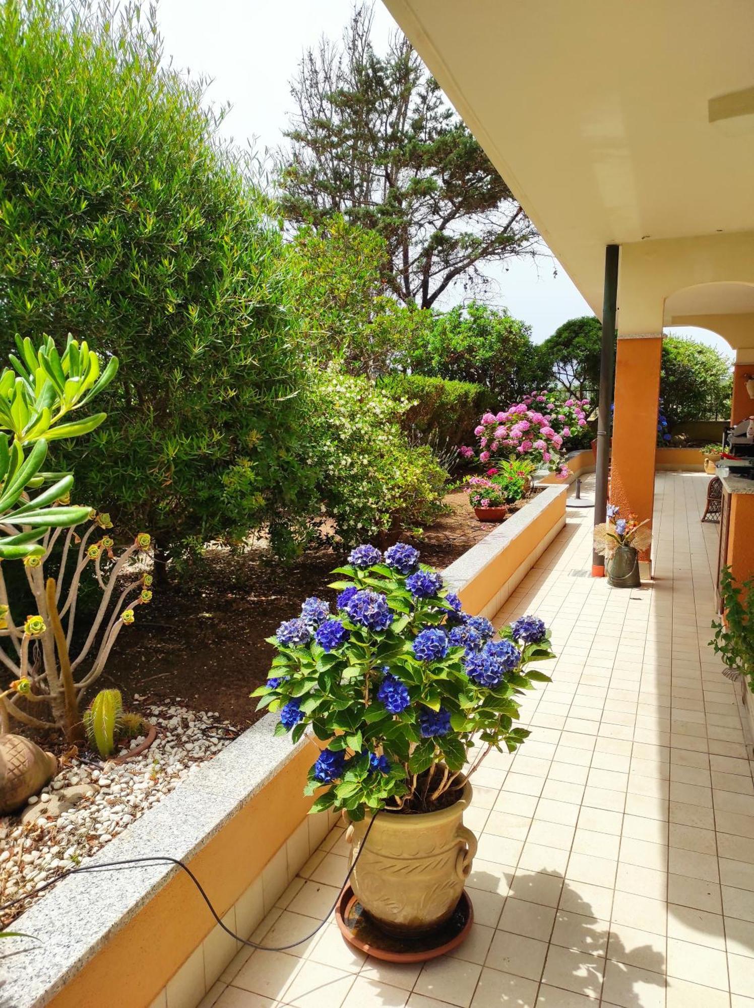 Casa Al Mare Con Giardino Βίλα Αλγκέρο Εξωτερικό φωτογραφία