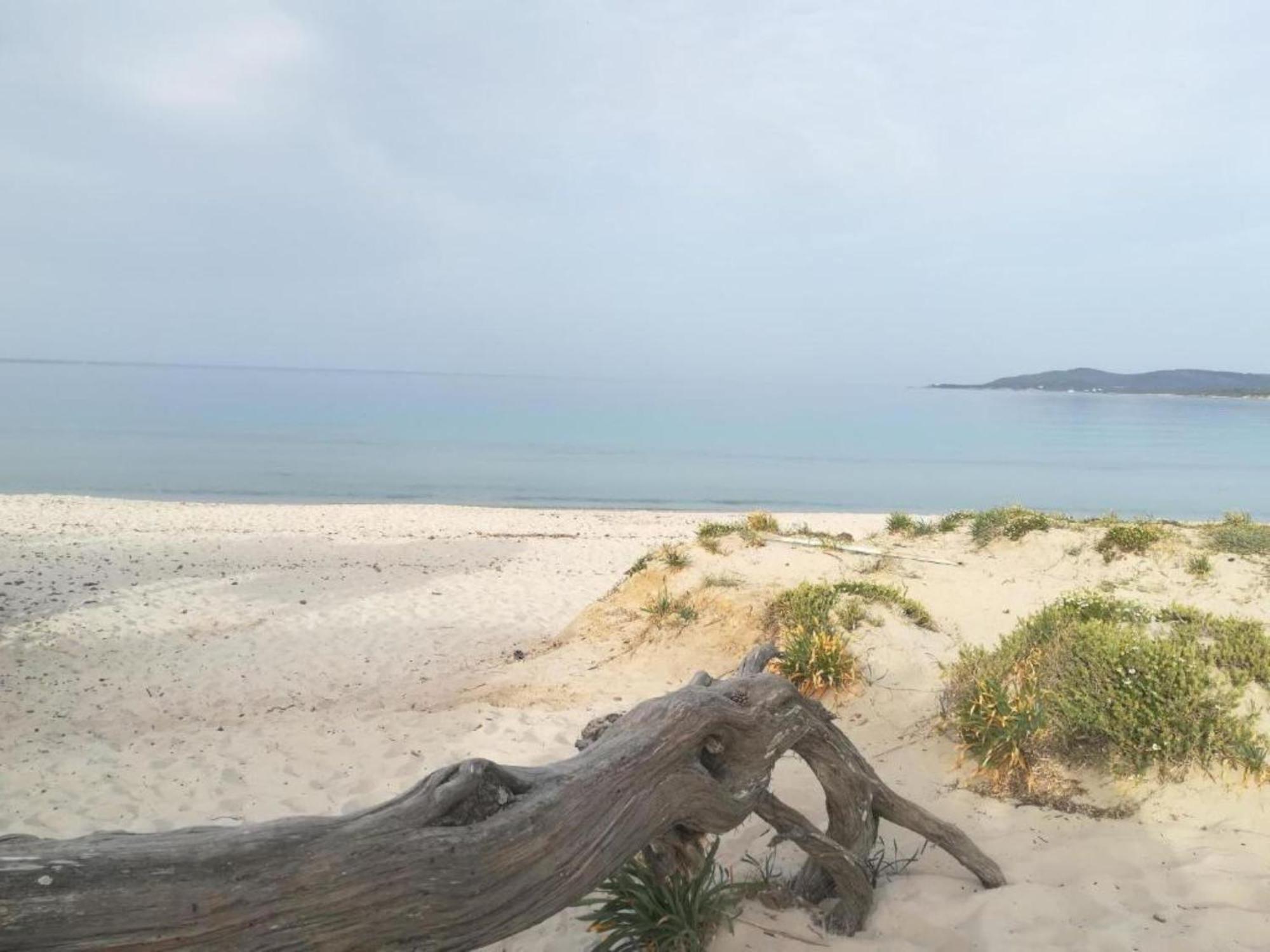Casa Al Mare Con Giardino Βίλα Αλγκέρο Εξωτερικό φωτογραφία