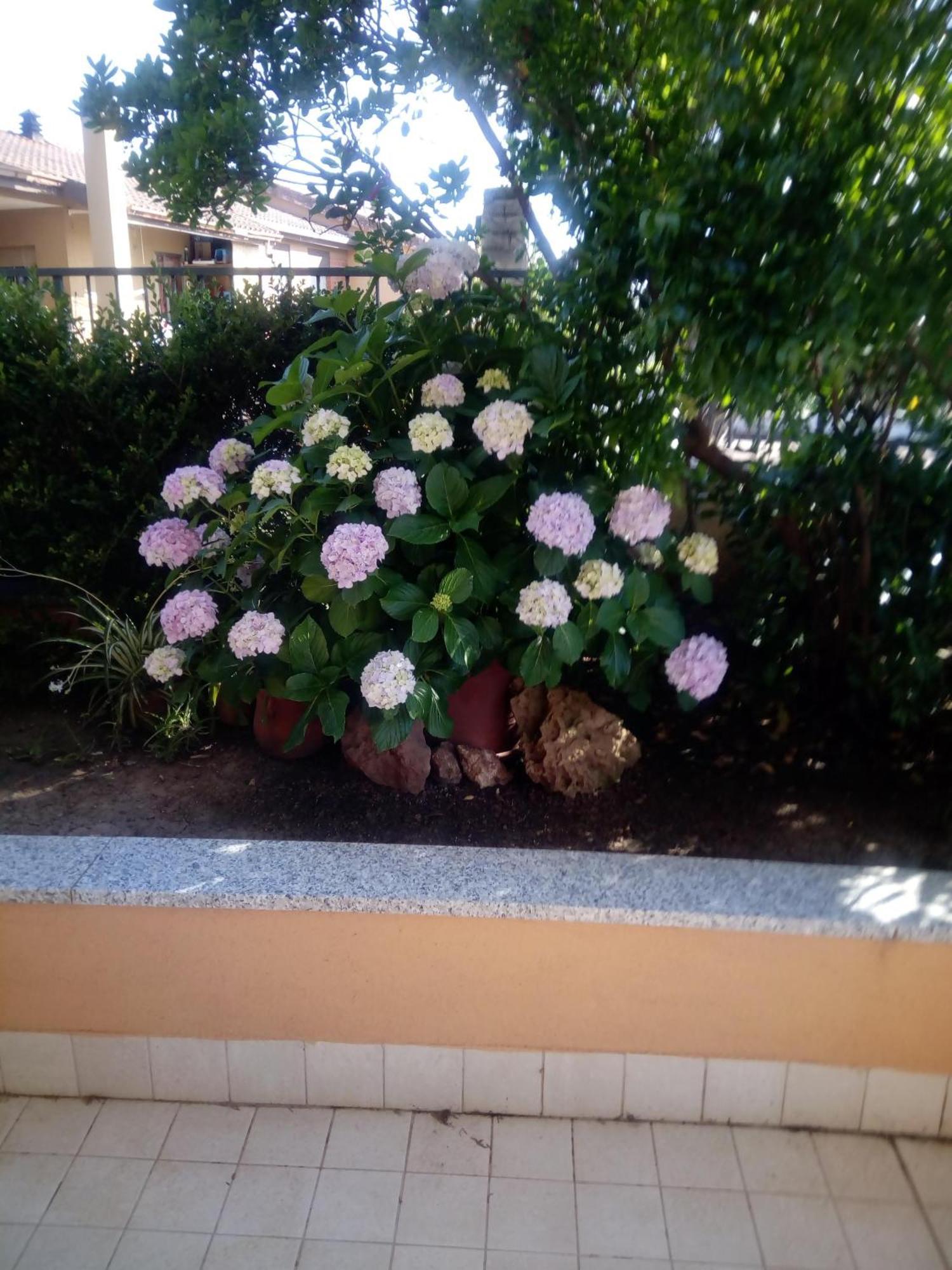 Casa Al Mare Con Giardino Βίλα Αλγκέρο Εξωτερικό φωτογραφία