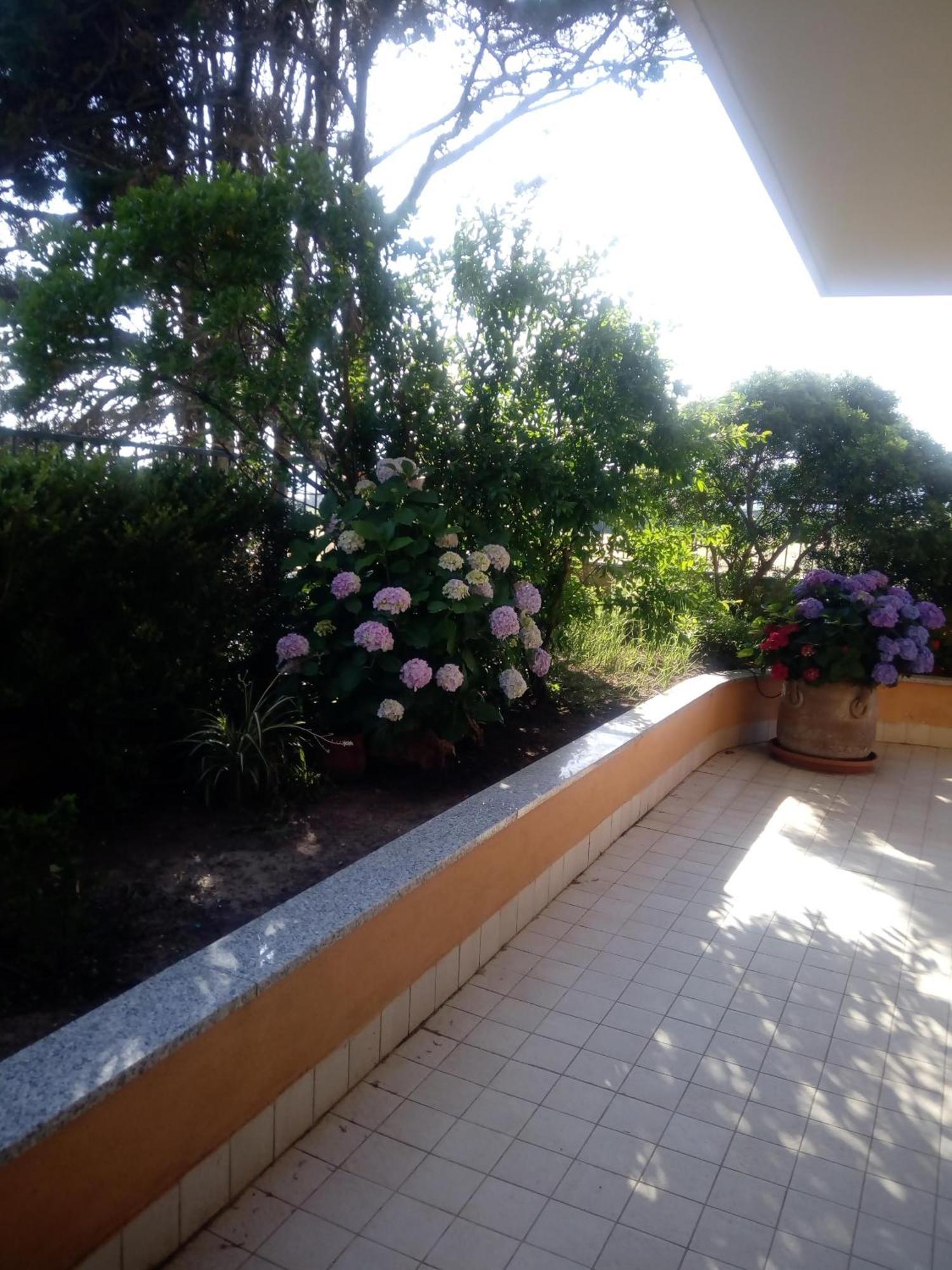 Casa Al Mare Con Giardino Βίλα Αλγκέρο Εξωτερικό φωτογραφία